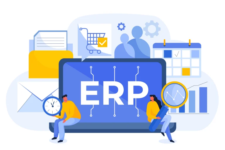 Custom ERP System